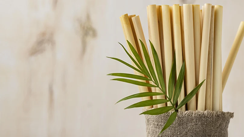 Ein Bambusblatt.